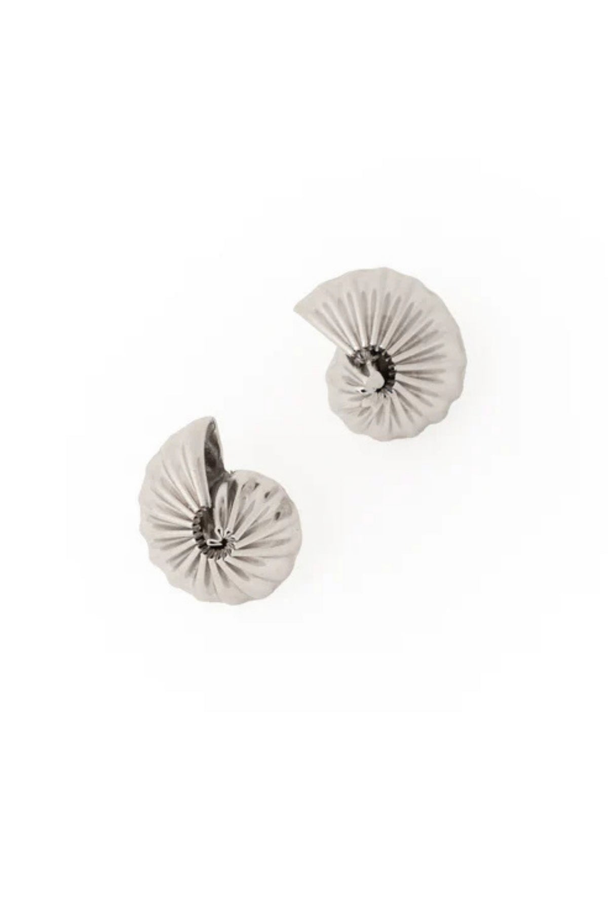 Mini Maxima Shell Studs