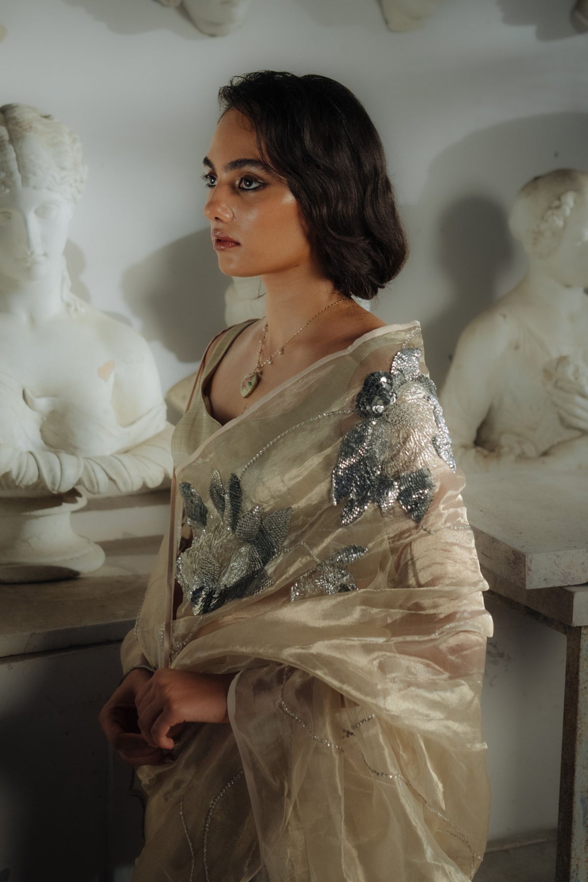 Lotu Silver Saree