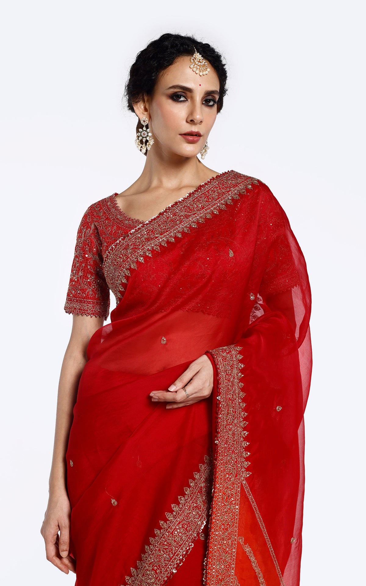 Sequinned Organza Saree