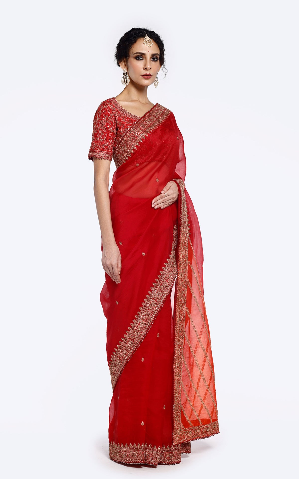 Sequinned Organza Saree