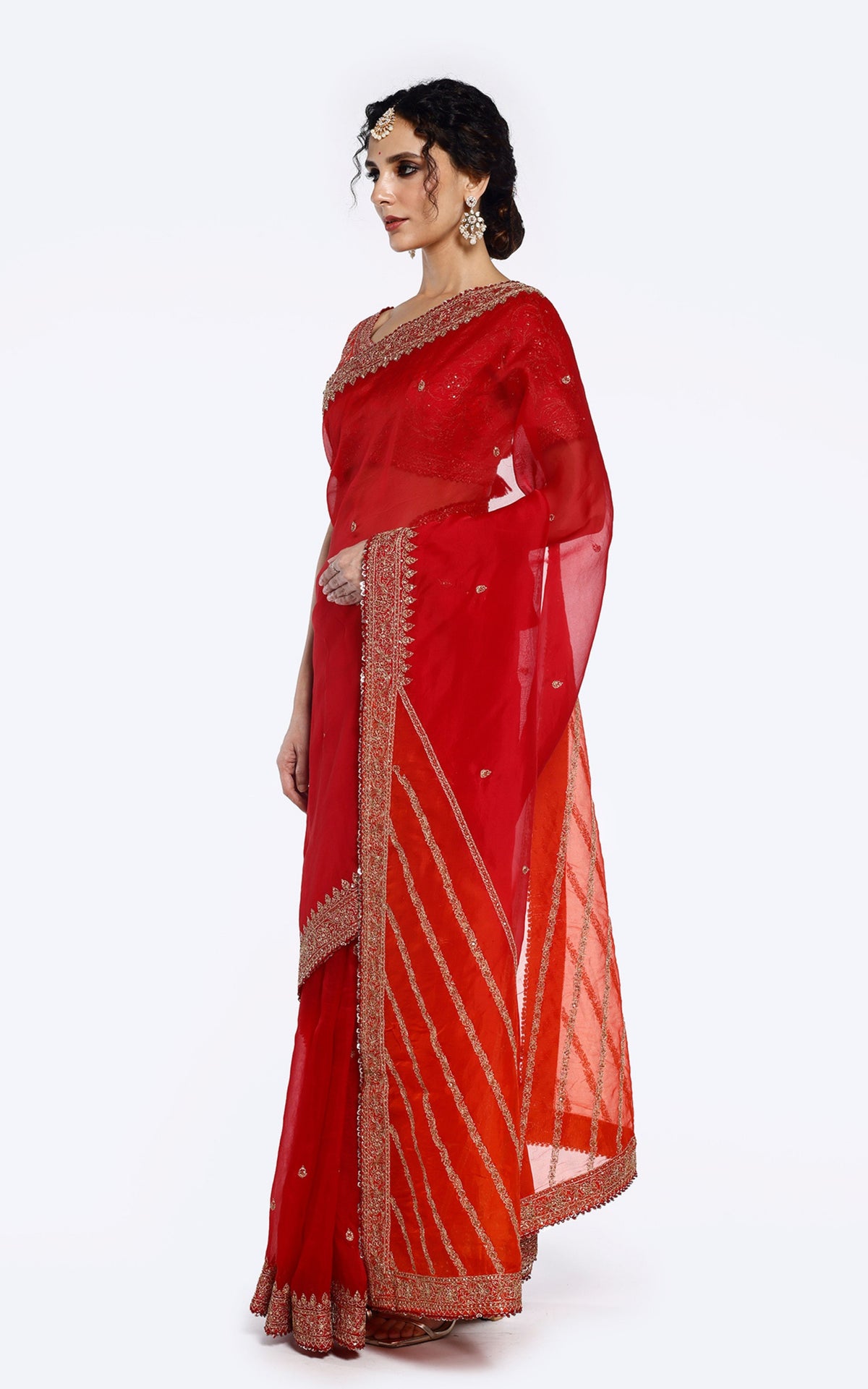 Sequinned Organza Saree