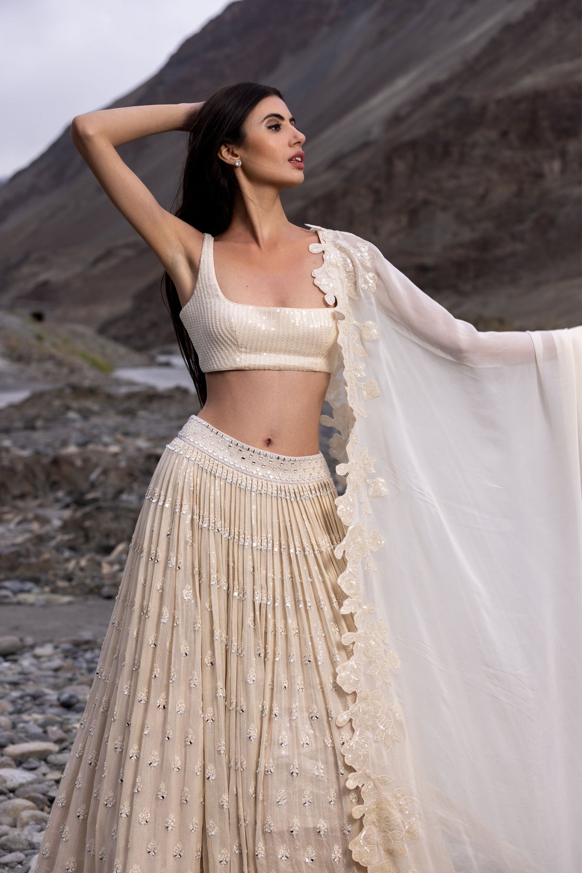 Beige Mirror Booti Lehenga