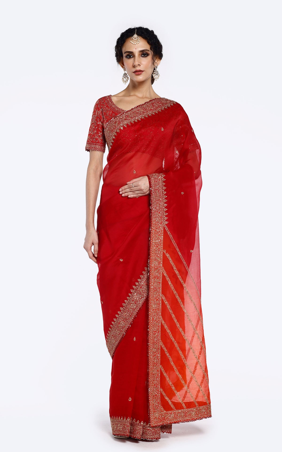 Sequinned Organza Saree