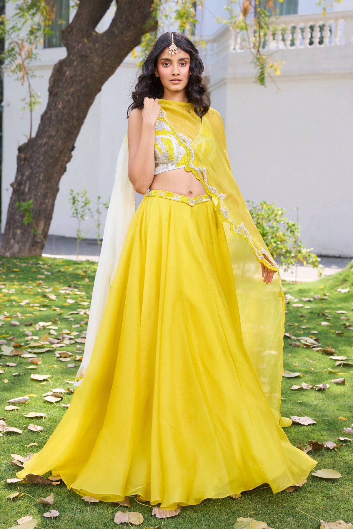 Elke Organze Lehenga Set