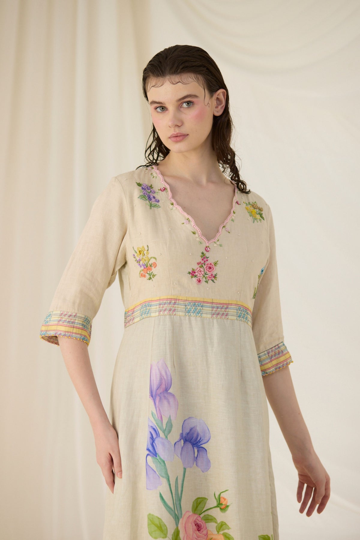 Ash Embroidered Dress