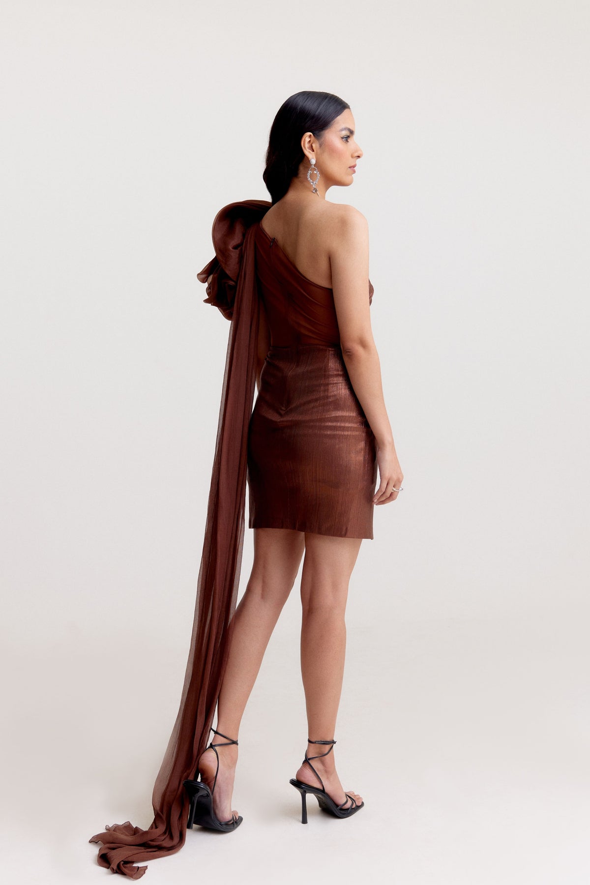 Metallic Brown Dress