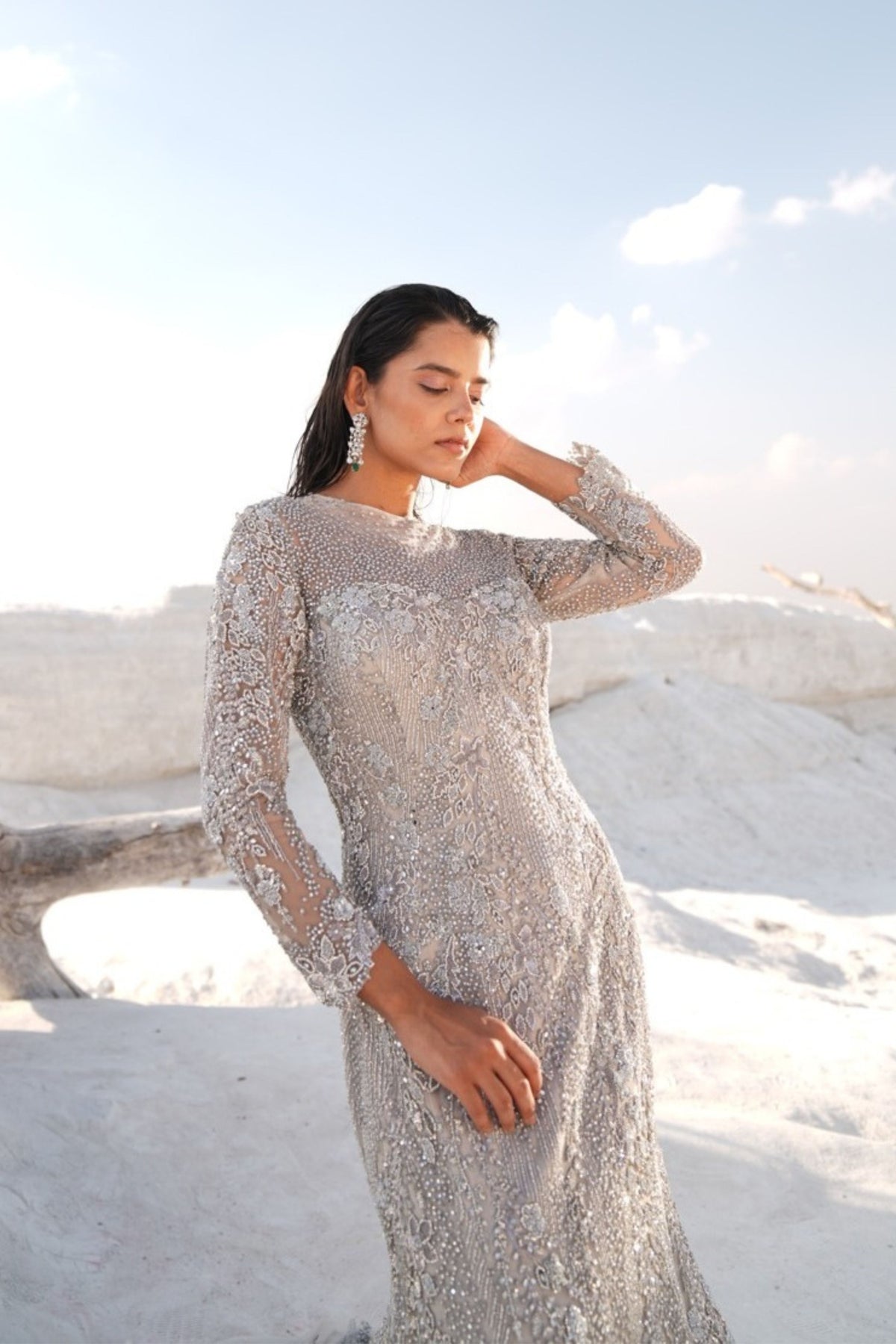 Silver Fish Cut Embellished Gown