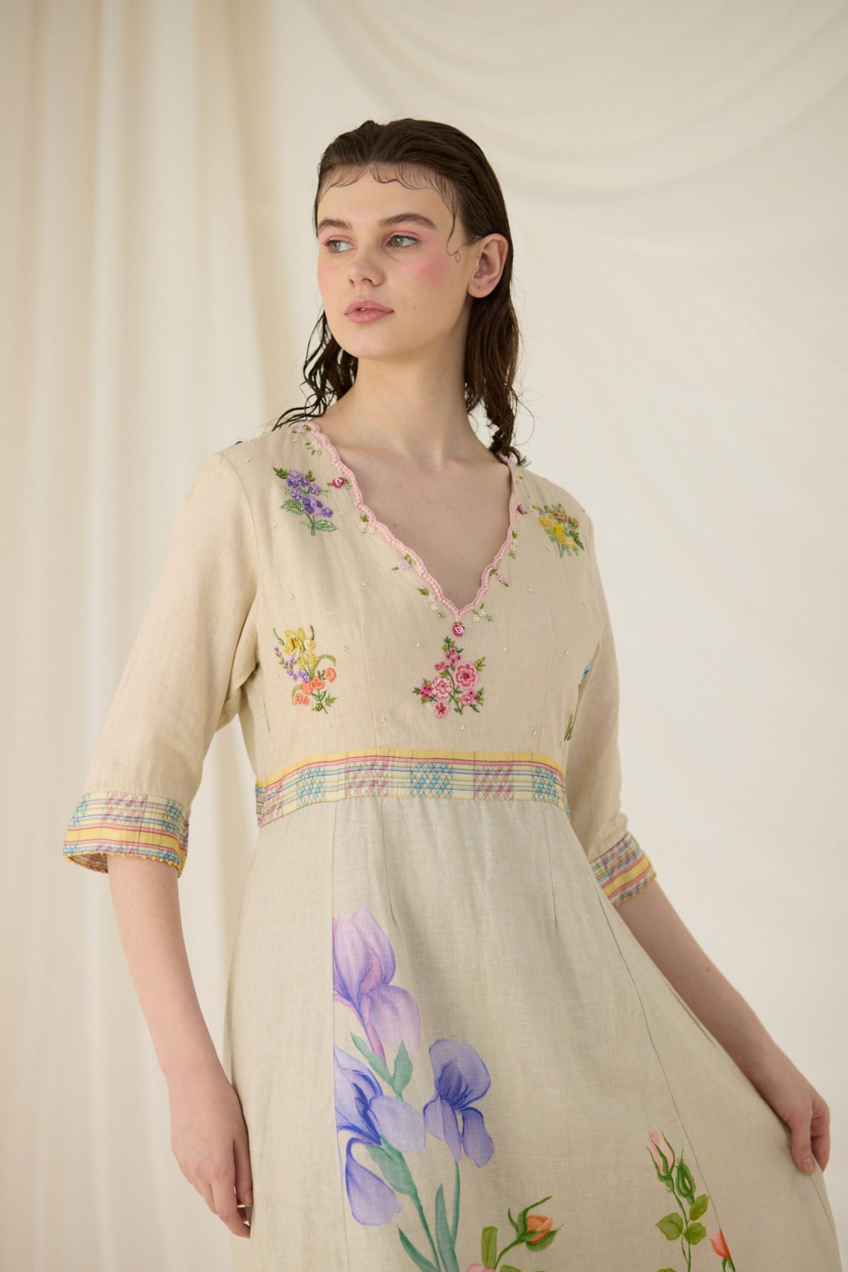 Ash Embroidered Dress