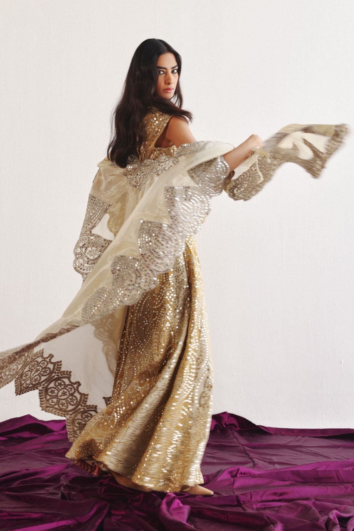 Golden Tissue Organza Cape