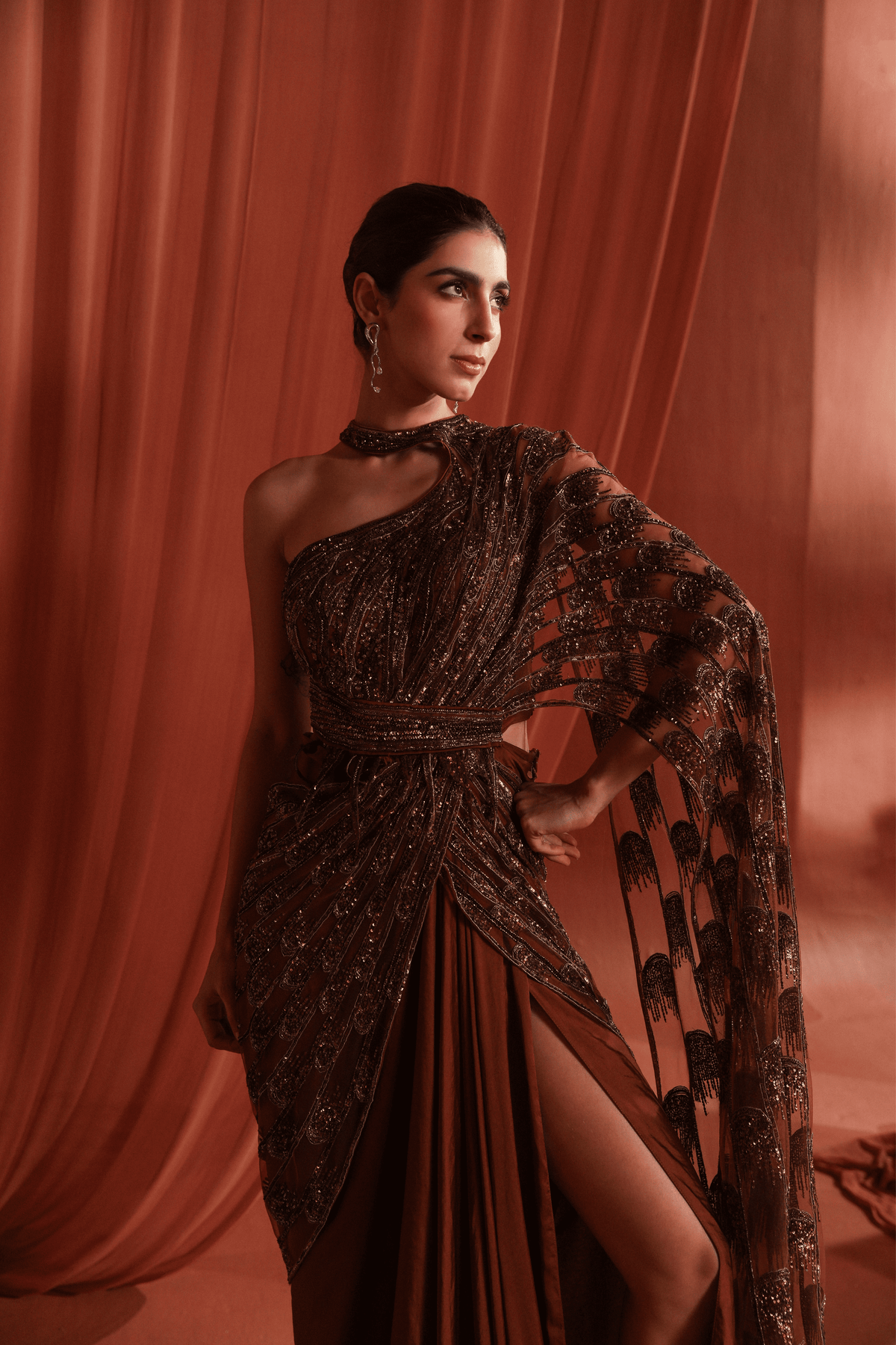 Mystic Bronze Saree