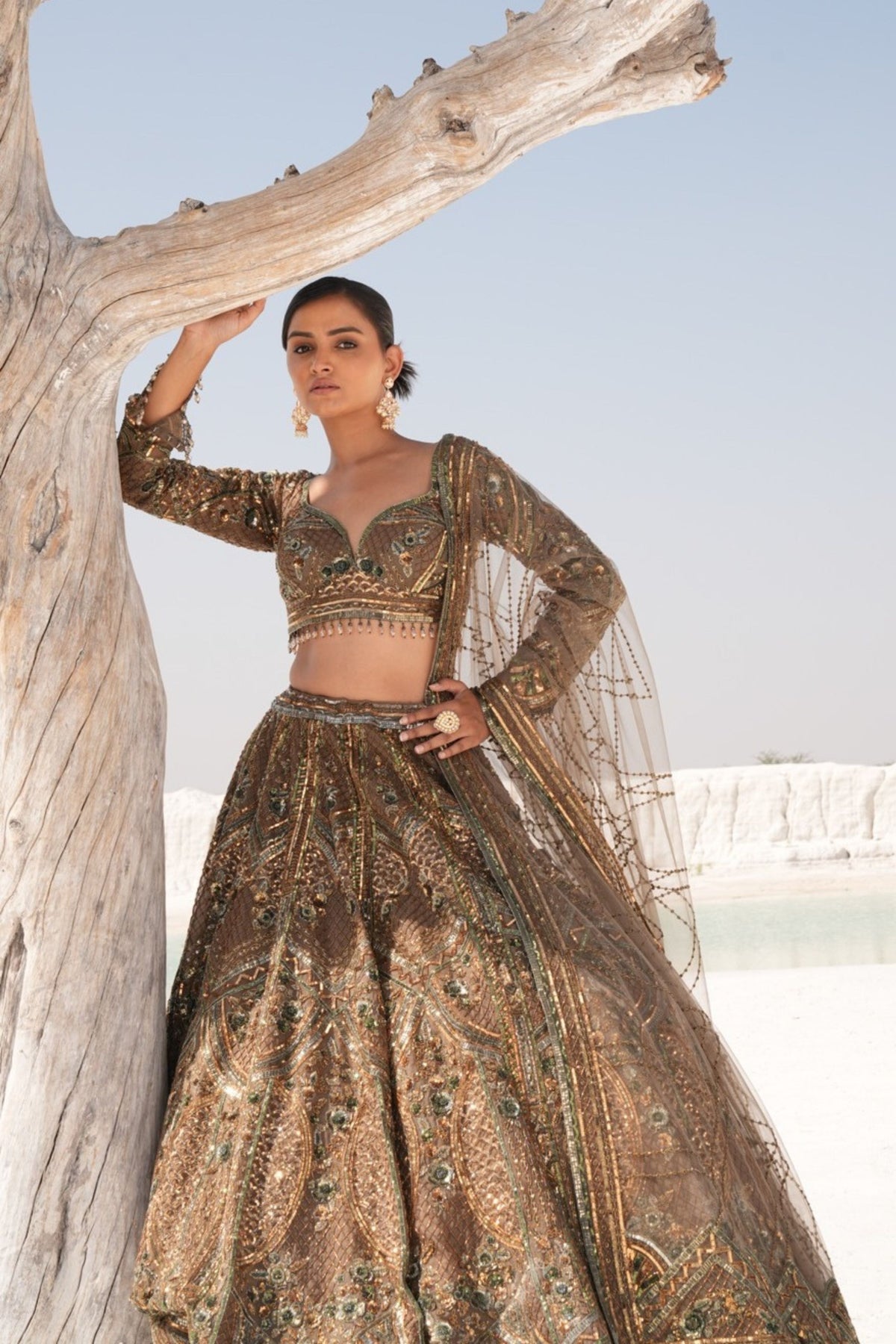 Green Embelleshed Lehenga Set