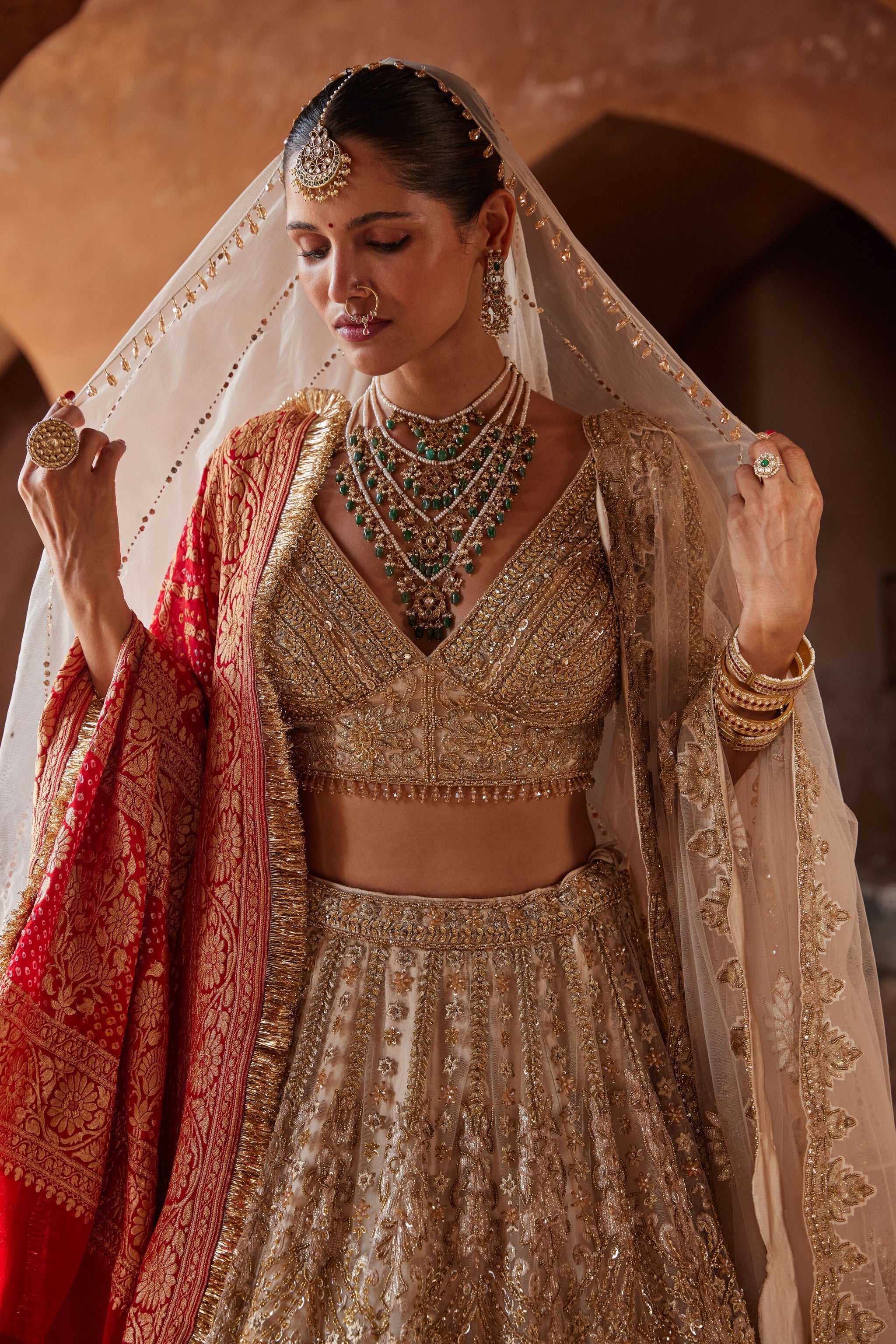 Nitika Gujral Champagne Gold Net Embroidered Lehenga Set Elahe