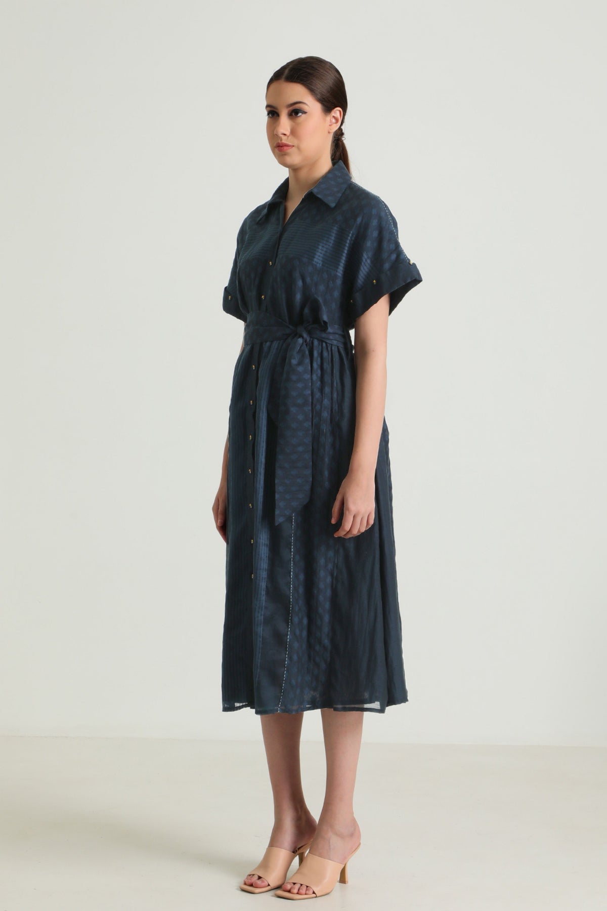 Banarsi Indigo Dress