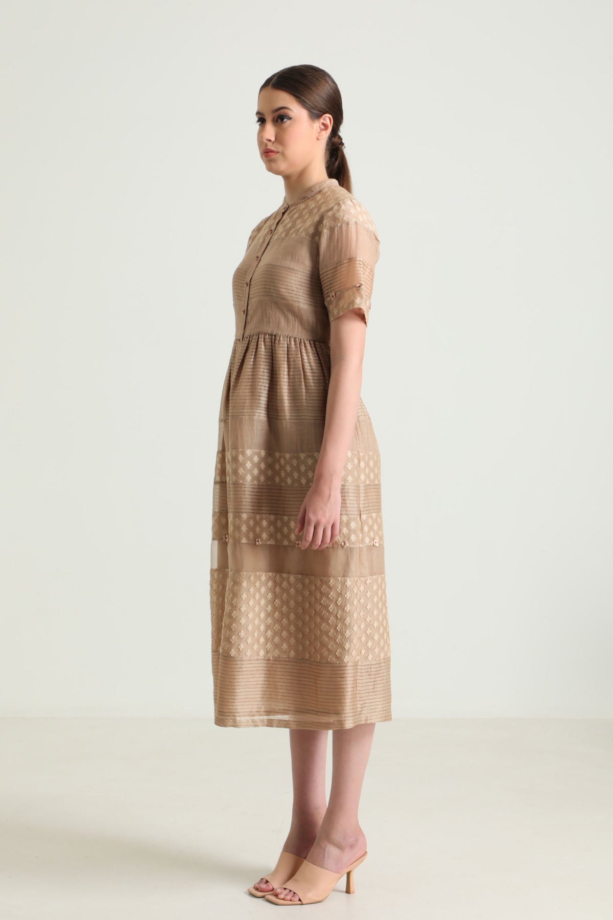 Beige Banarsi Dress