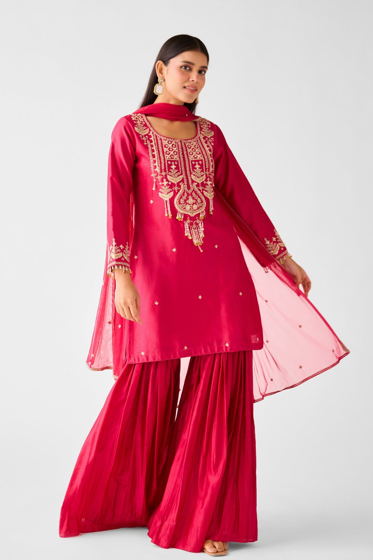 Rani Pink Embroidered Sharara Set