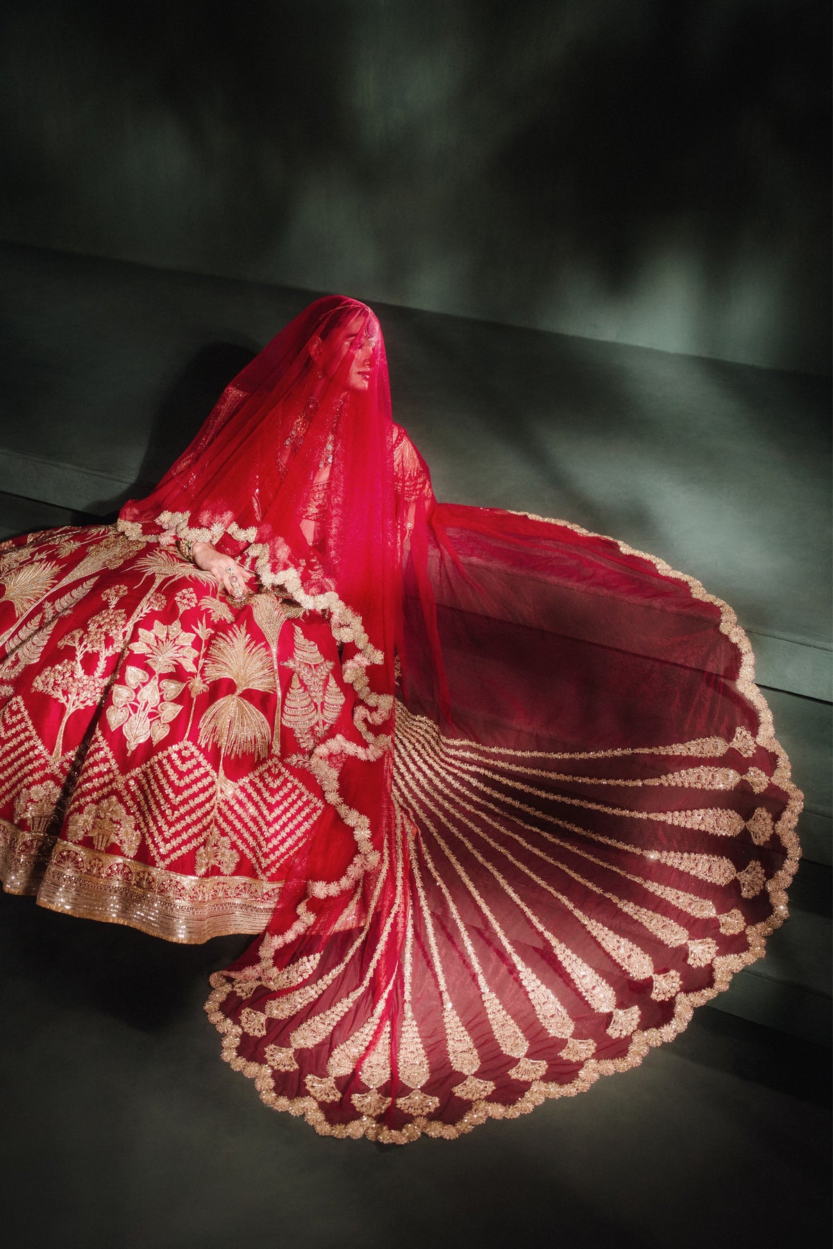 Aalu Bukhara Rashberry Lehenga With Veil