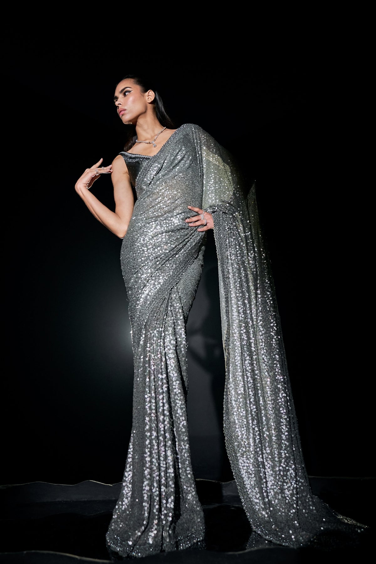 Silver Sequins Saree