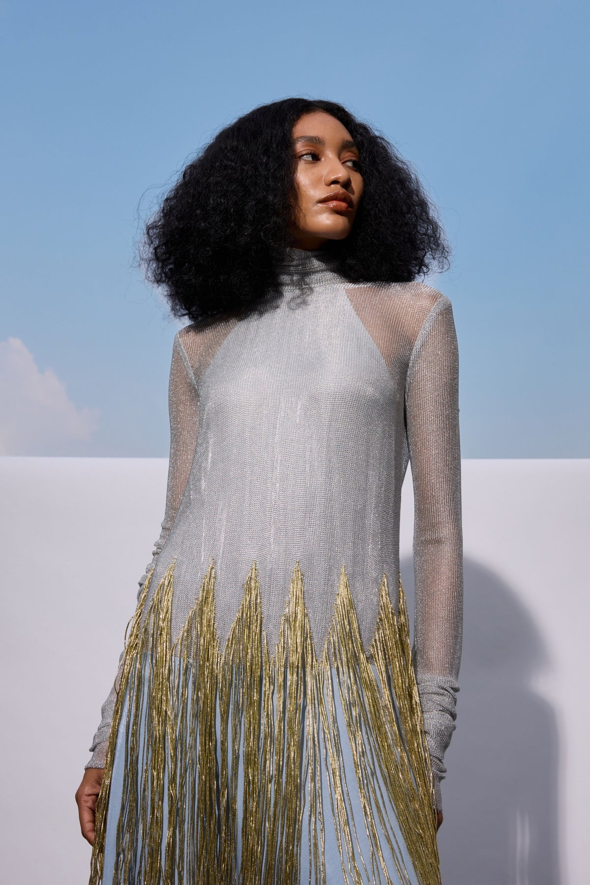 The Sky Mesh Dress