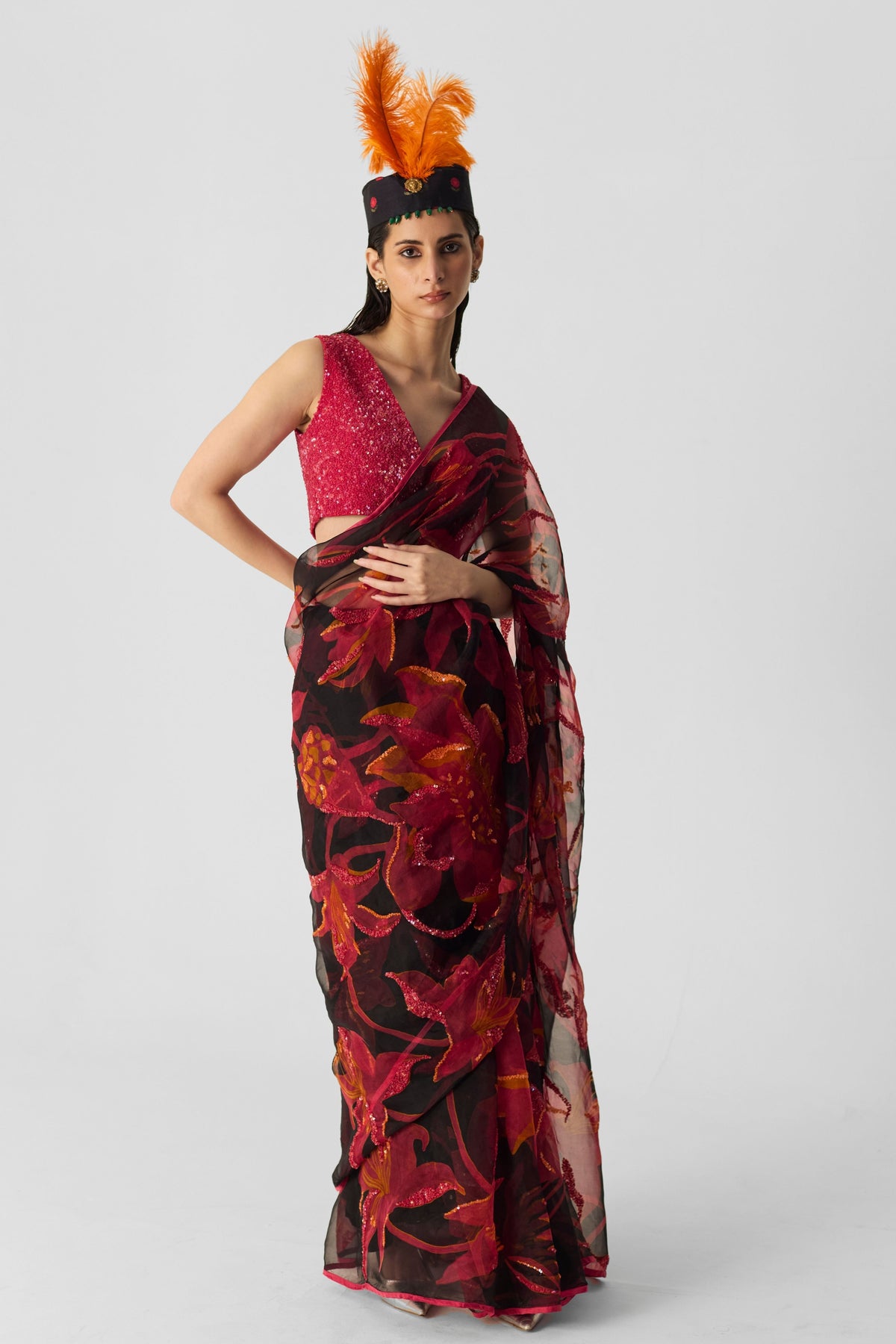 Lian Embroidered Saree