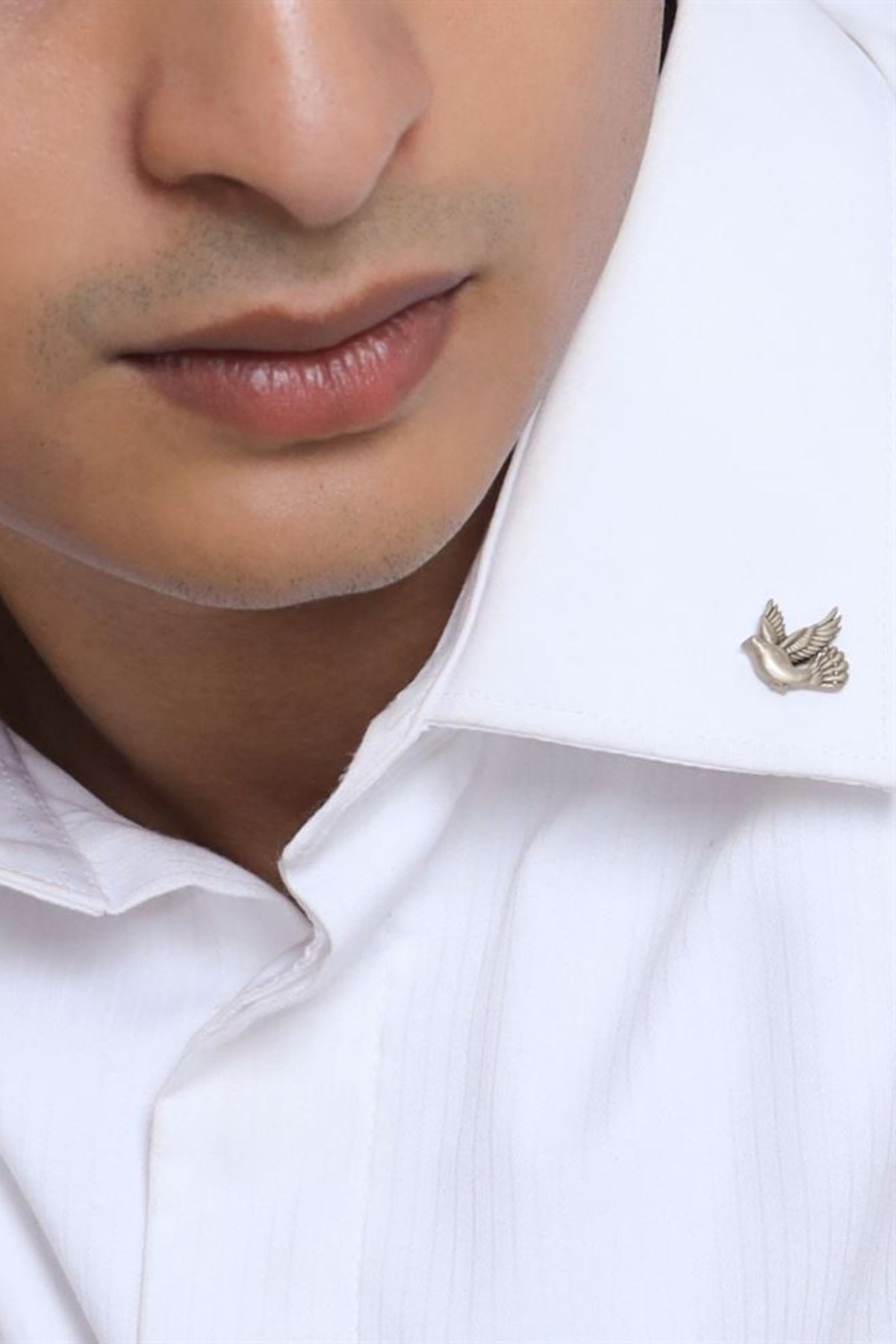 Flying Bird Collar Tips