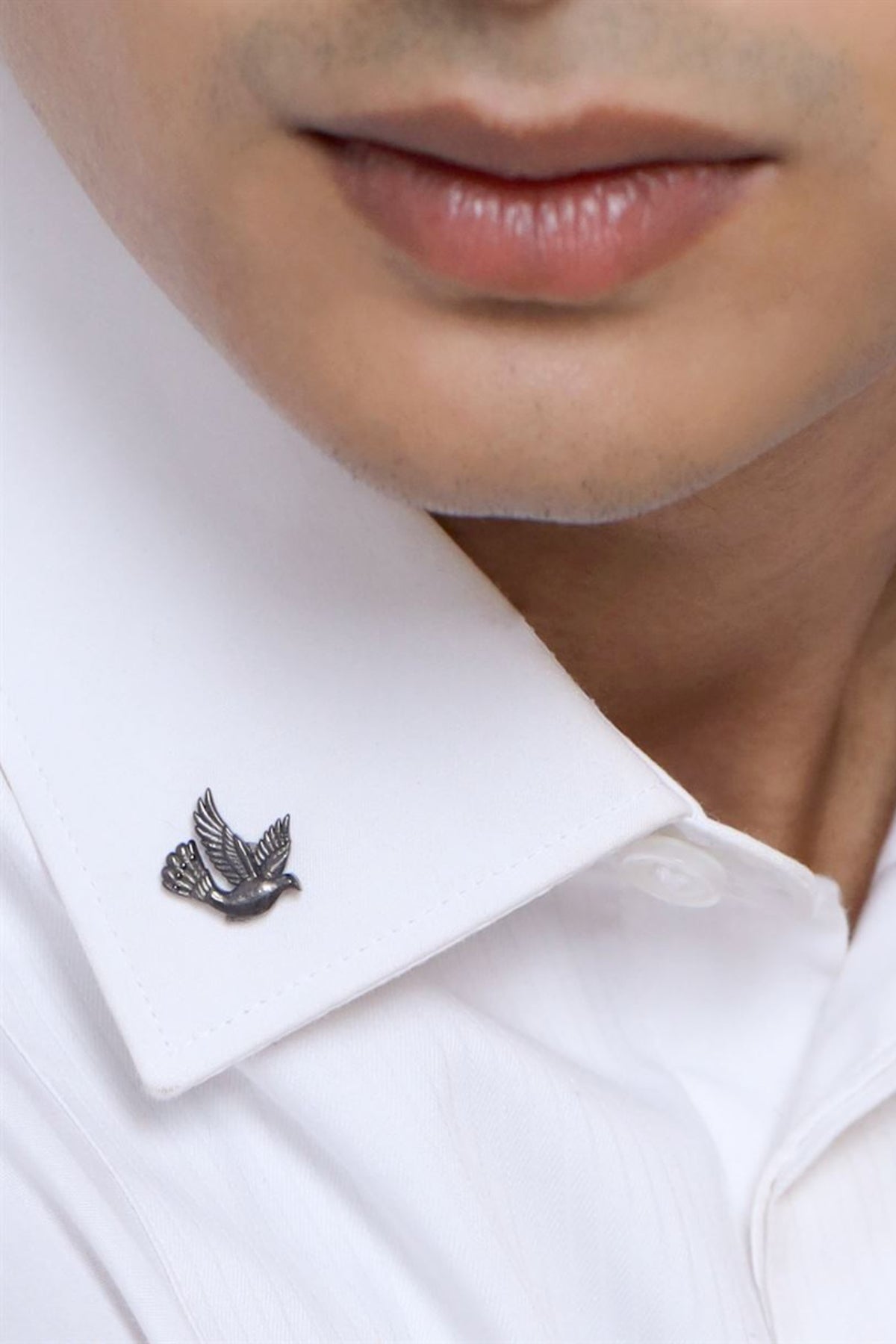 Flying Bird Collar Tips