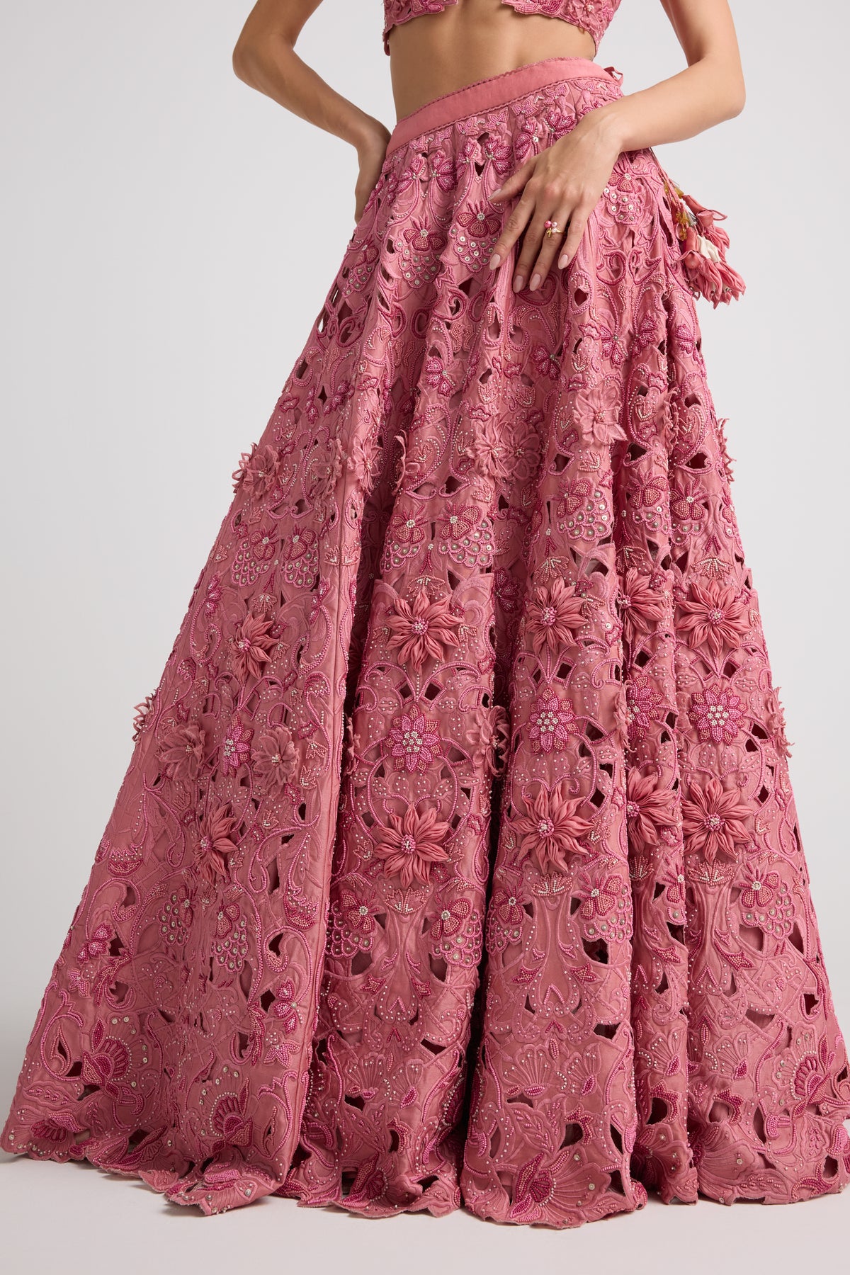 Blush 3d Floral Applique Beaded Lehenga