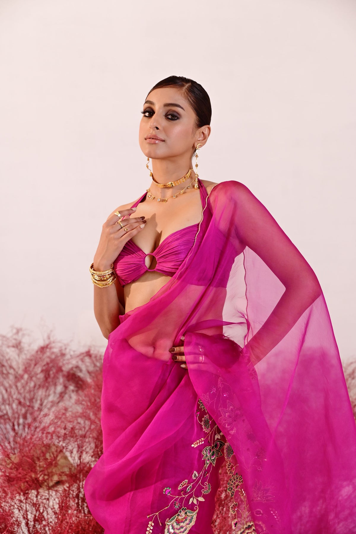 Dastaan Saree With Blouse