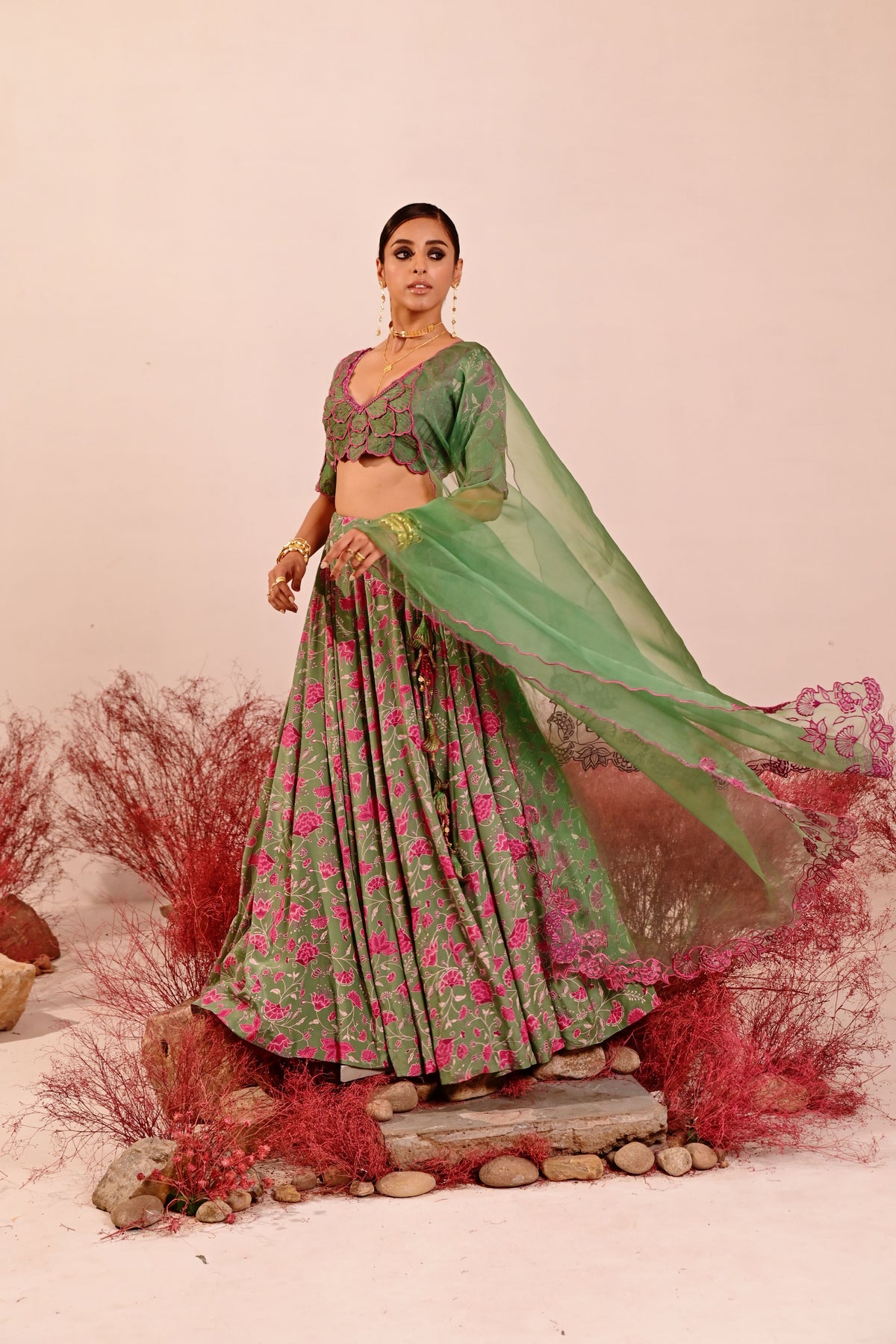 Liuora Lehenga Set