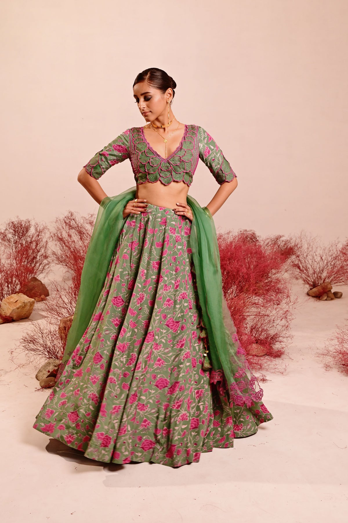 Liuora Lehenga Set