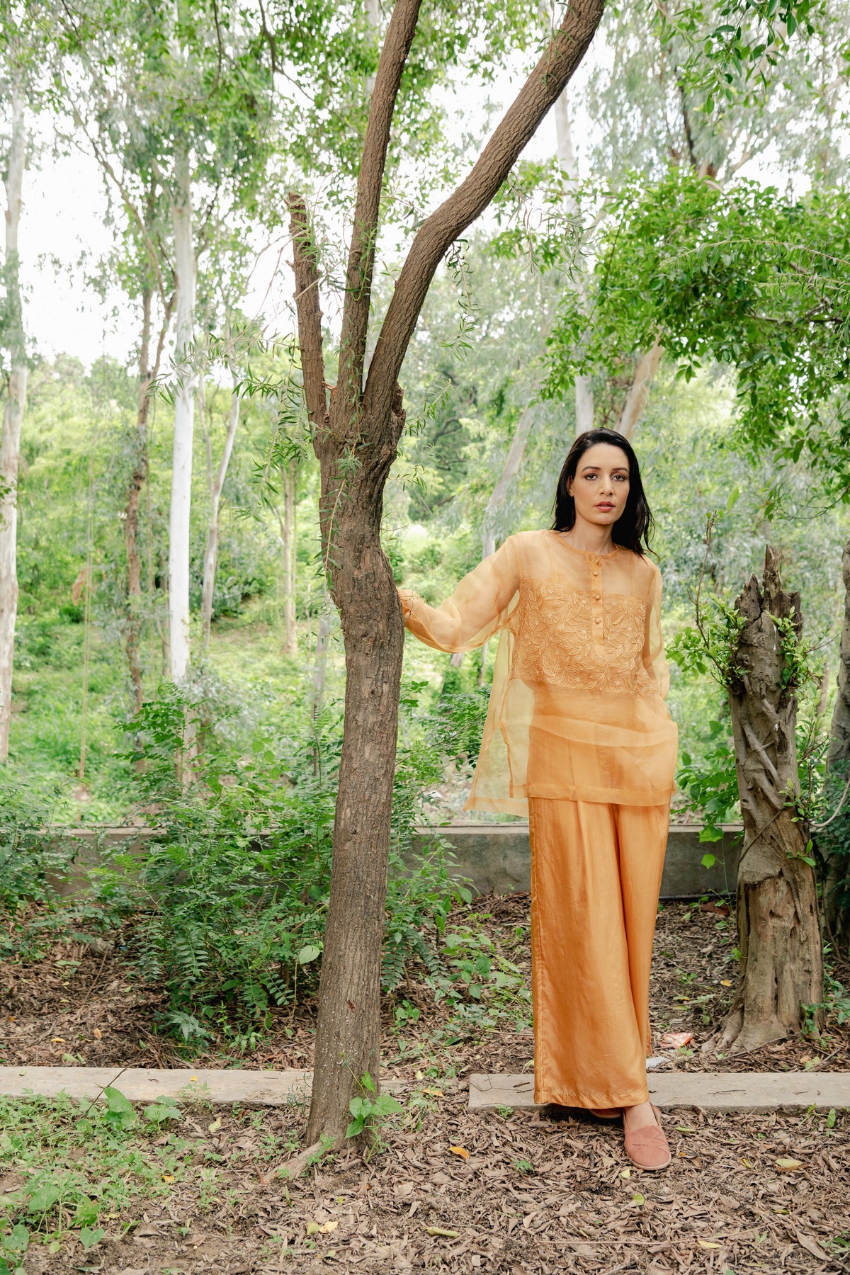 Brown Top With Embroidered Panel