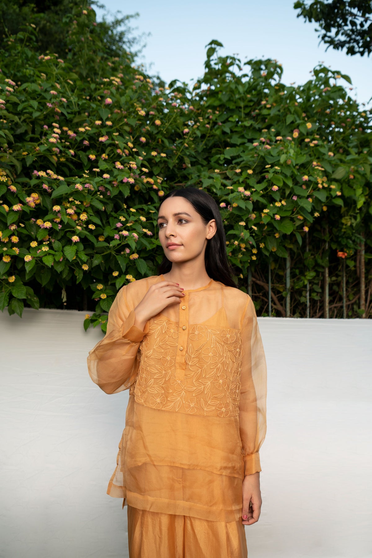 Brown Top With Embroidered Panel