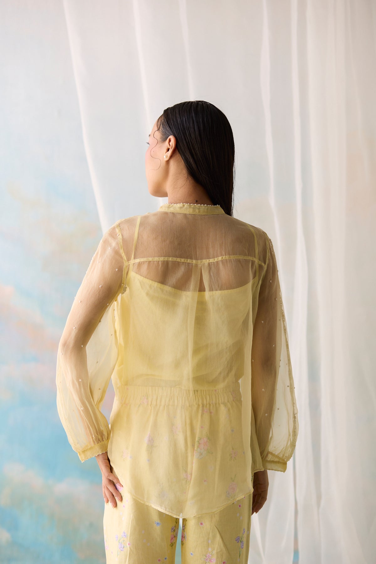 Citrine Sheer Top With Slip