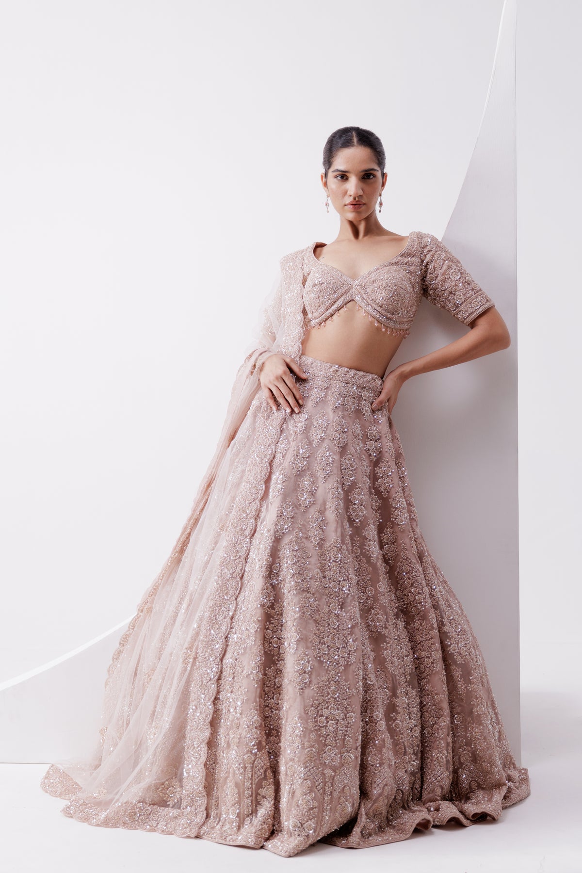 Organza Tissue Embroidered Lehenga