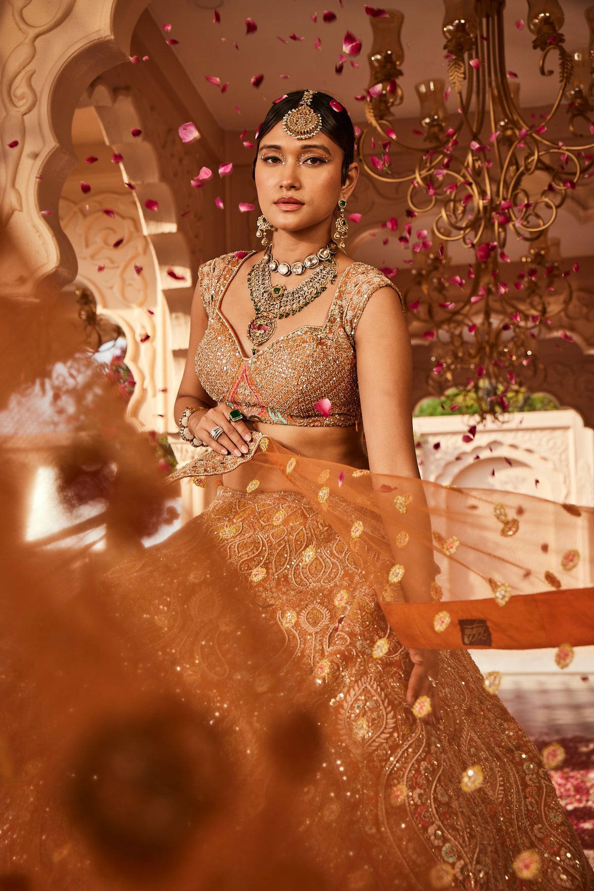 Rust Embellished Lehenga