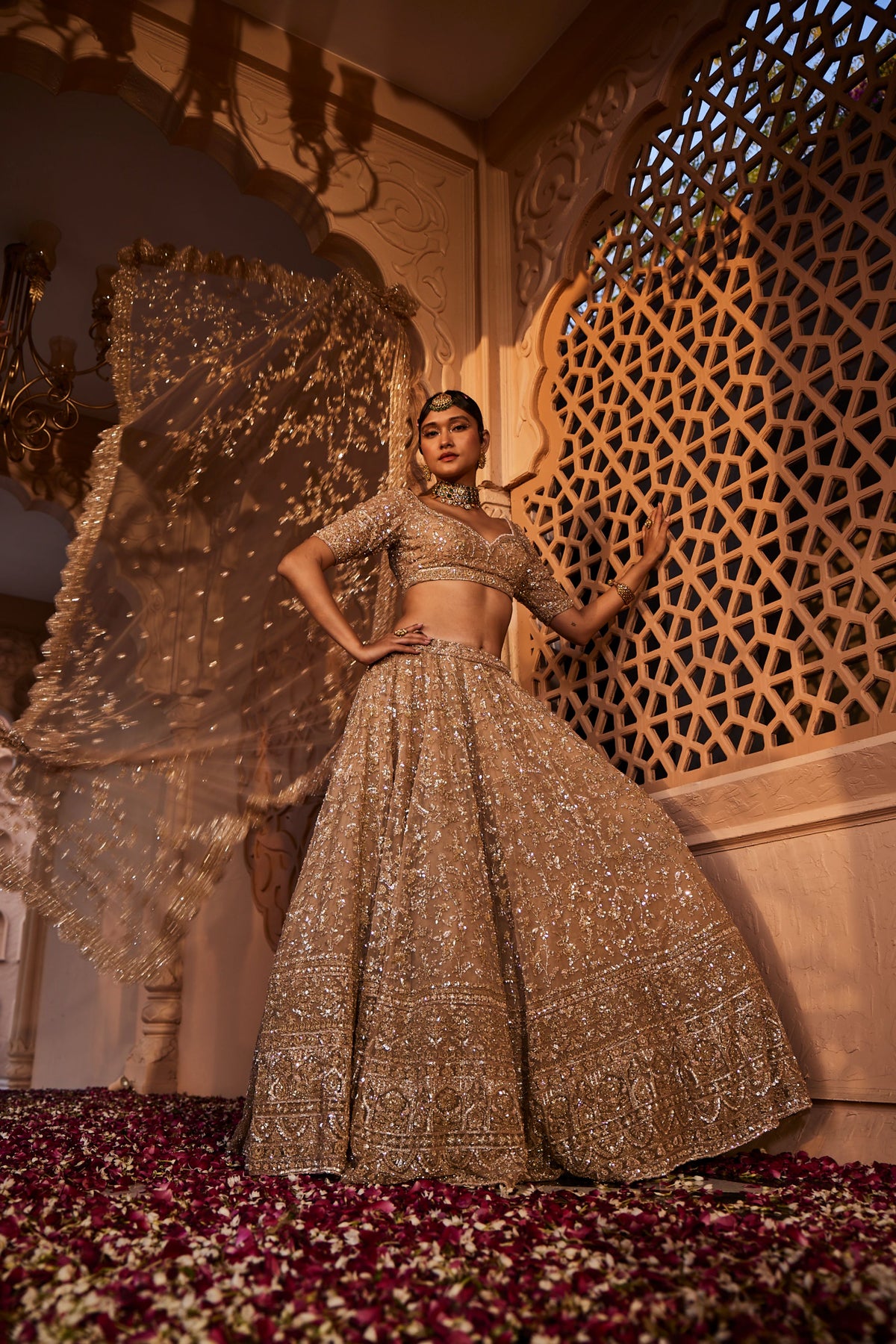 Gold Organza Lehenga