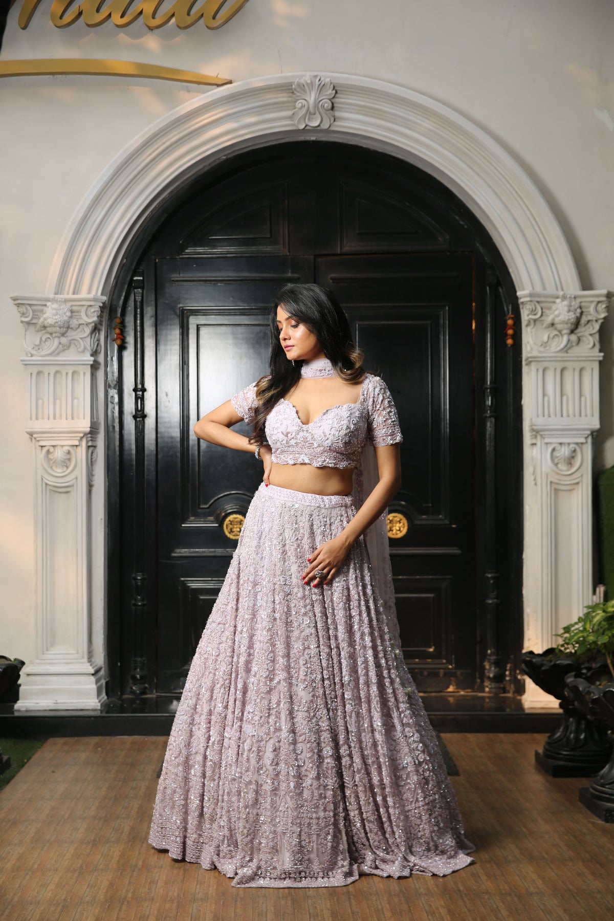 Lilac Embellished  Lehenga