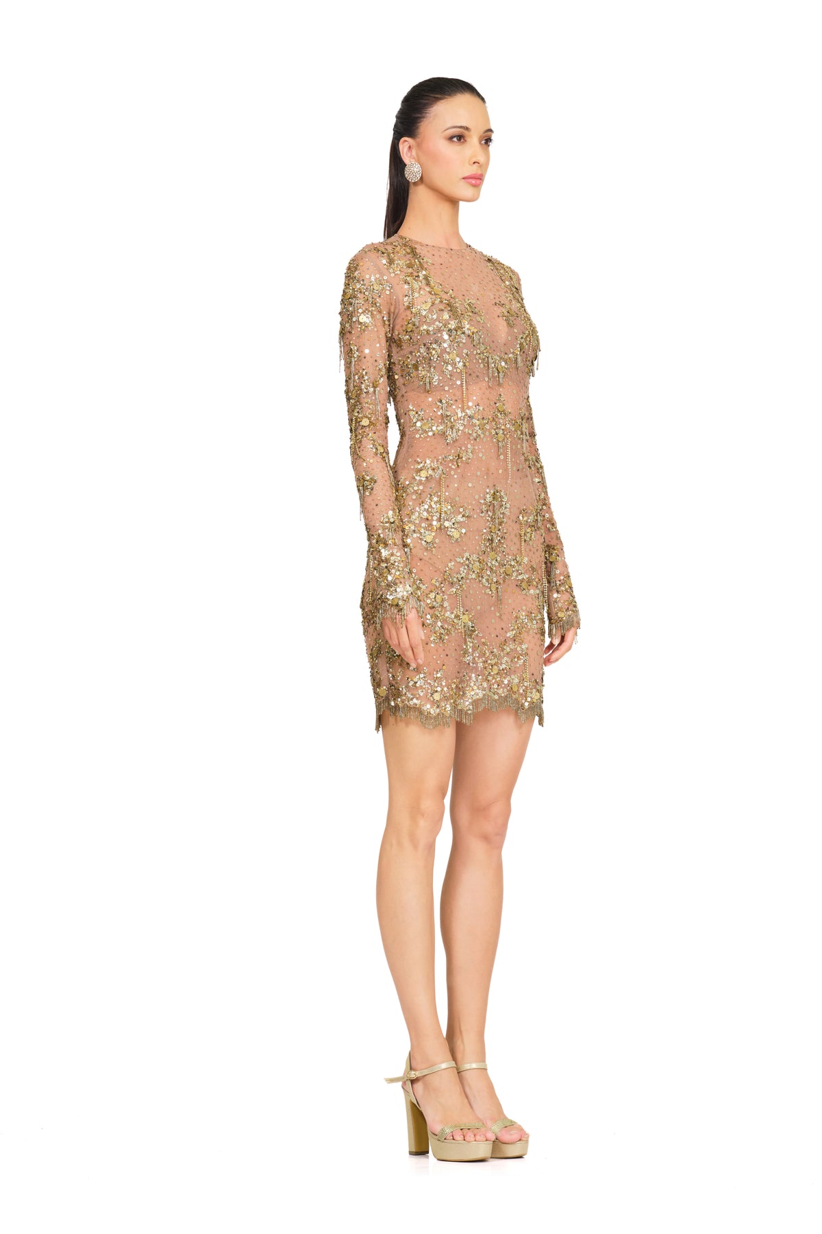 Gold Sheer Dress With Embroidery