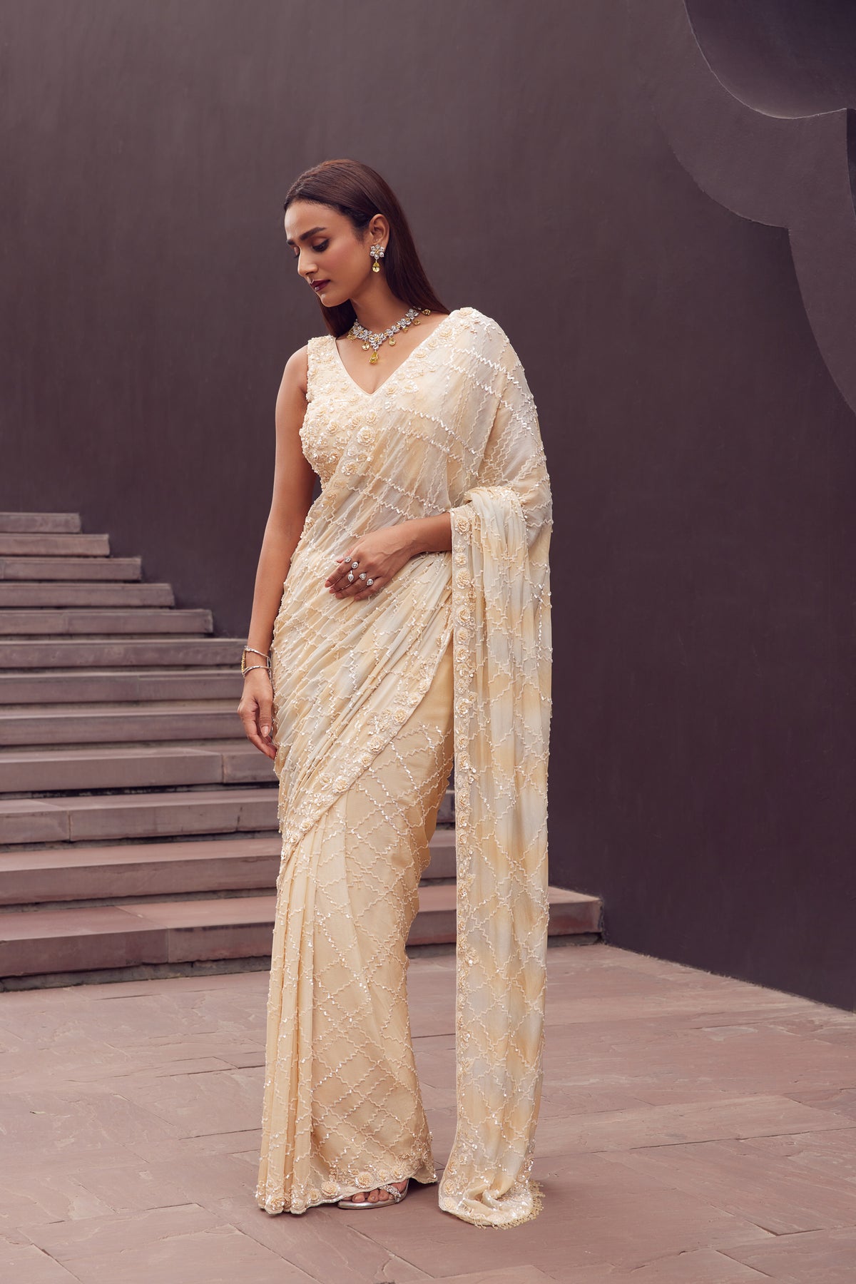 Foil Chinon Embroidered Saree