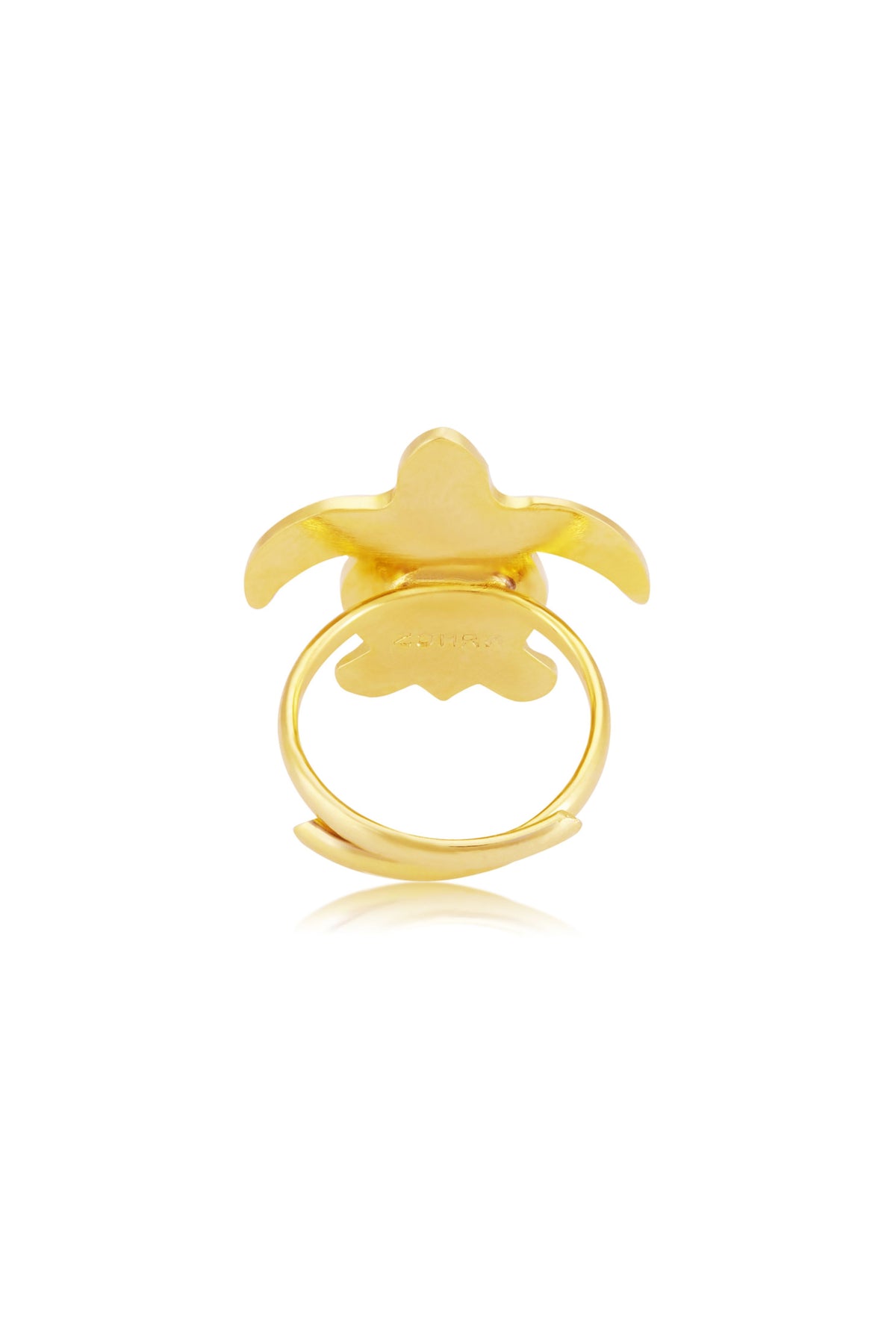 Ocean seaturtle ring