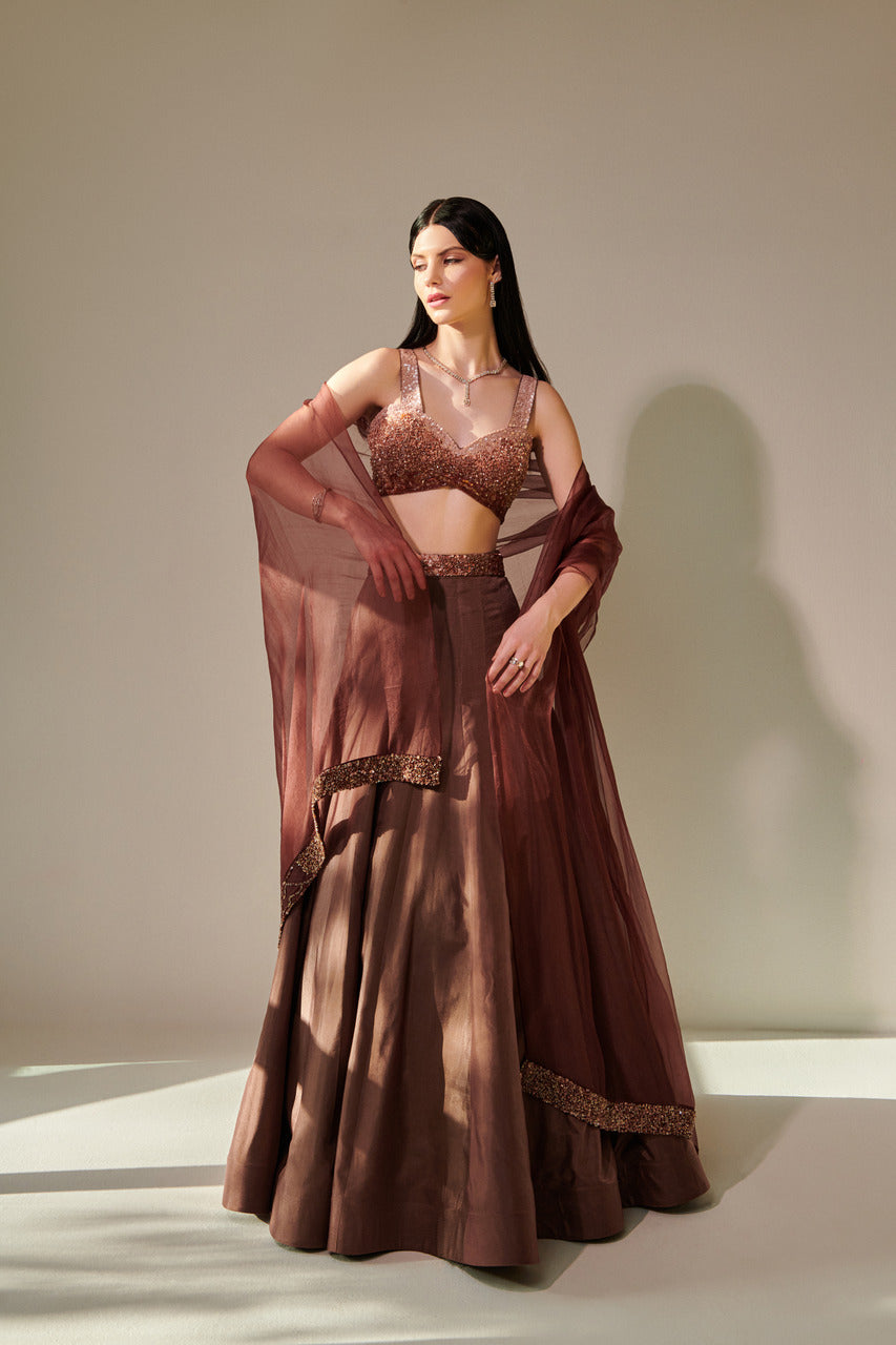 Earthy Brown Ombre Shaded Lehenga Set