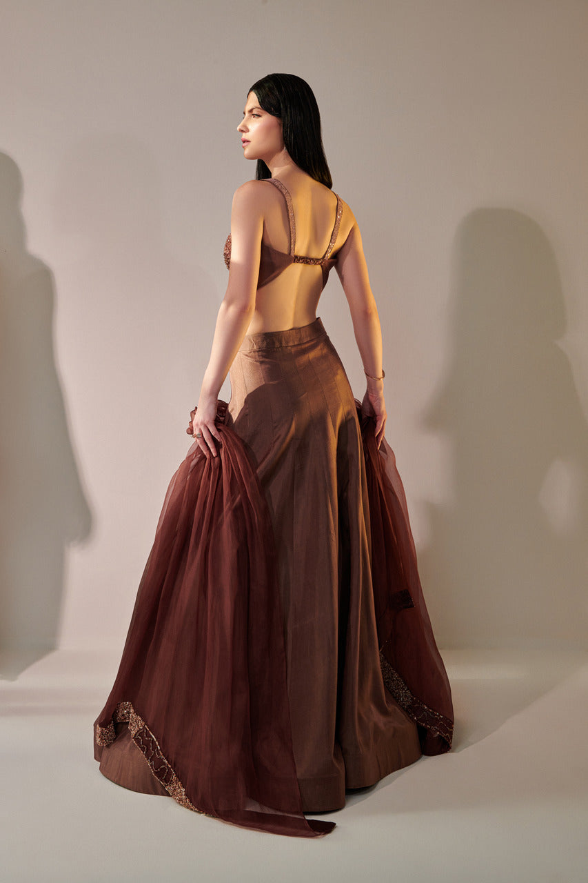 Earthy Brown Ombre Shaded Lehenga Set