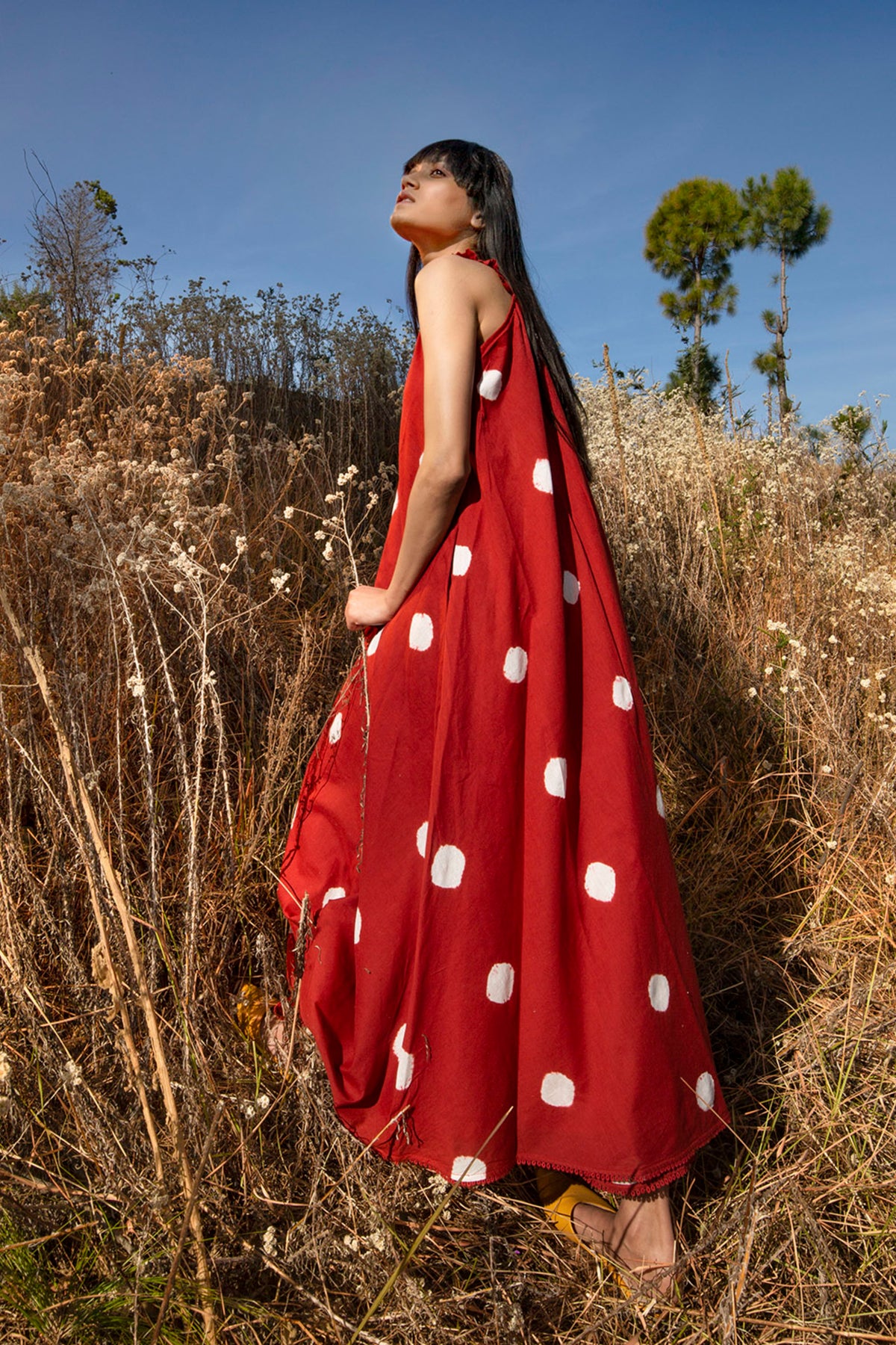 Red Ancient Dress