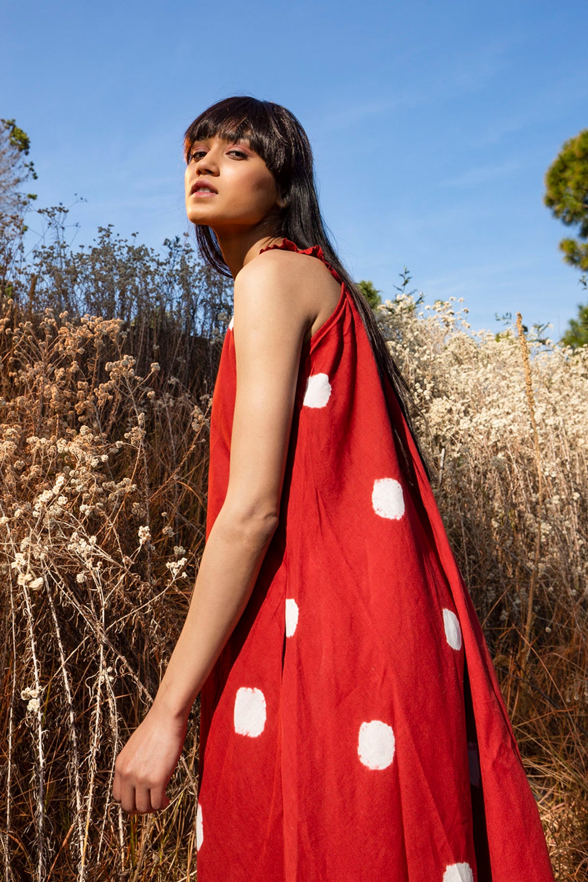 Red Ancient Dress